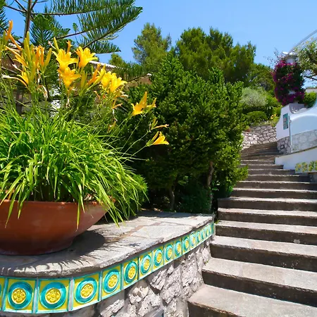Capri Dream *